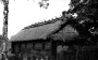 Беларусы ў Польшчы (1918-1949). Электроннае выданьне 