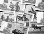 Хрышчэнне нацыі. Масавыя акцыі 1988—2009. Электроннае выданьне