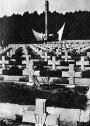 Нацыянальныя, падрыхтоўчыя і баявыя аспекты дзейнасці Войска Польскага на Усходнім фронце ў 1943—1945 гг.