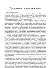 Перарваны ў зеніце палёт