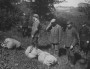 Кантрабанда ў БССР у 1920-х — 1930-х гг.: сацыяльна-эканамічнае вымярэнне